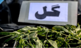 کشف یک تن ماده مخدر &laquo;گل&raquo; در اسدآباد